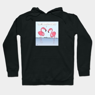 Flamingos Cartoon | For once I am putting my foot down Hoodie